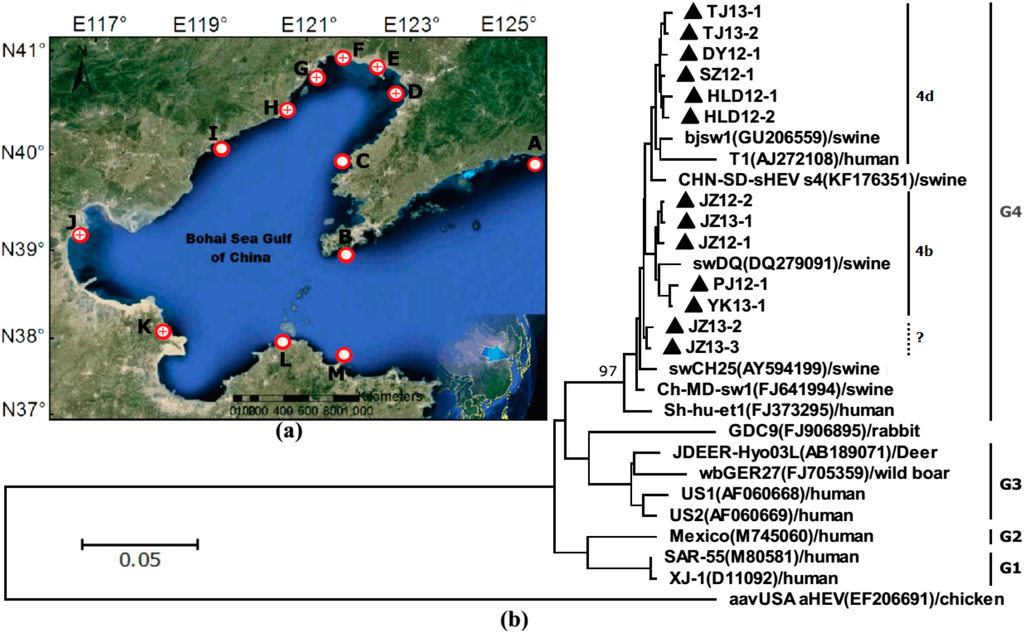 Ijerph 12 02026 g001 1024