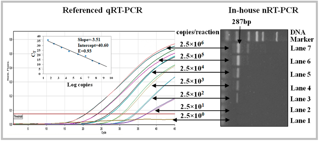 Ijerph 12 02026 g003 1024