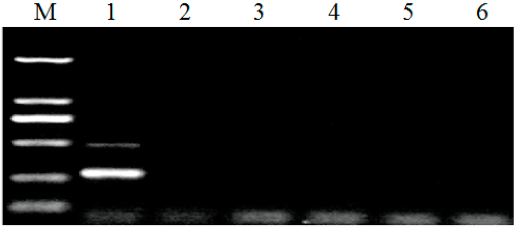 Ijerph 12 02026 g004 1024