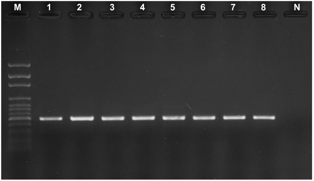 Ijerph 12 02164 g002 1024