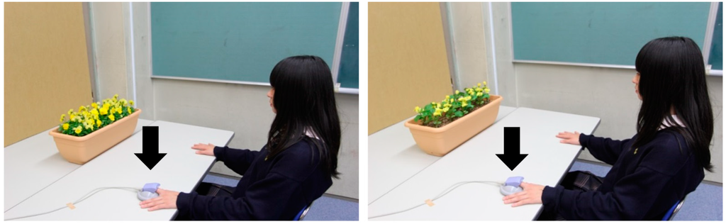 Ijerph 12 02521 g001 1024