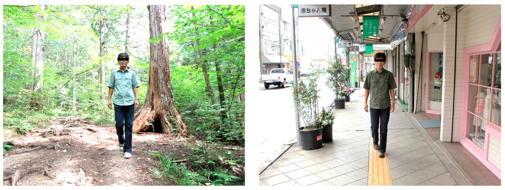 Ijerph 12 02687 g001 1024