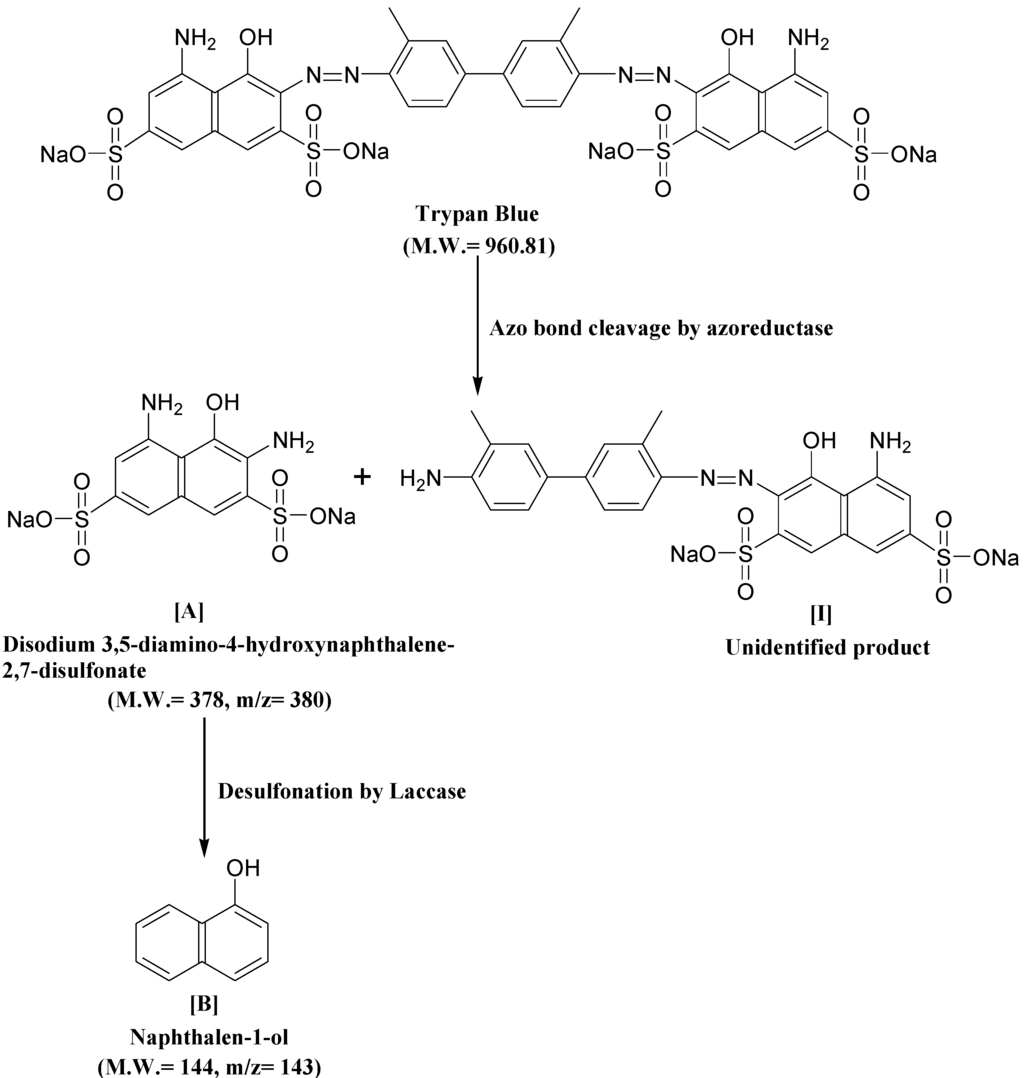 Ijerph 12 03480 g008 1024