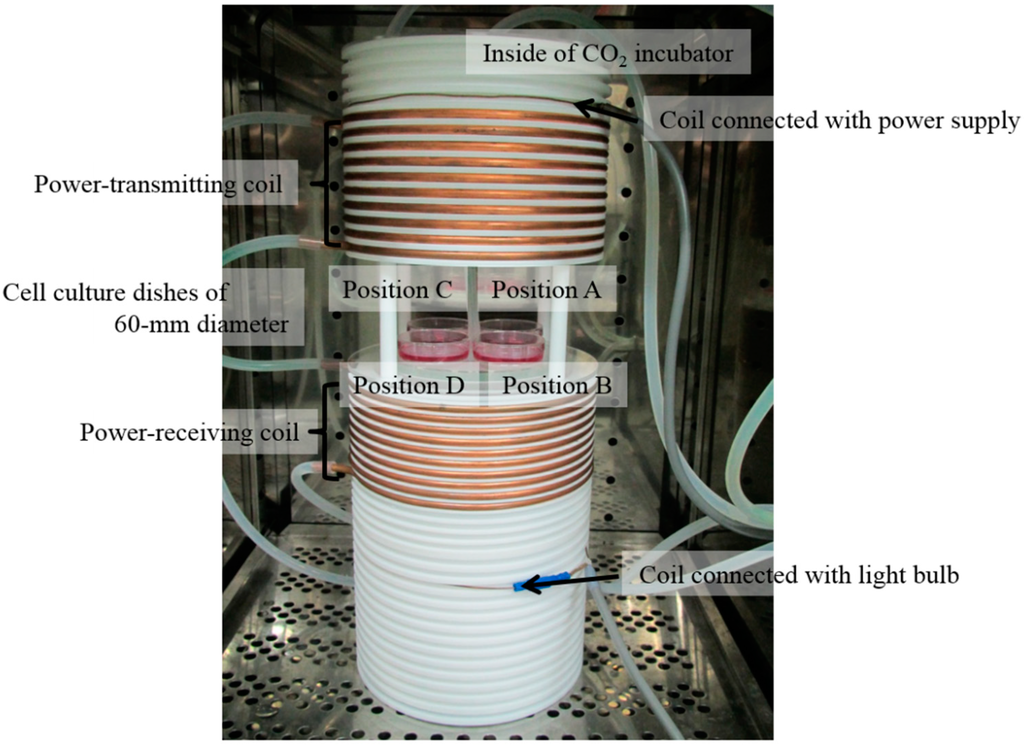 Ijerph 12 03853 g001 1024