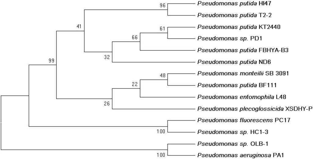 Ijerph 12 04214 g002 1024