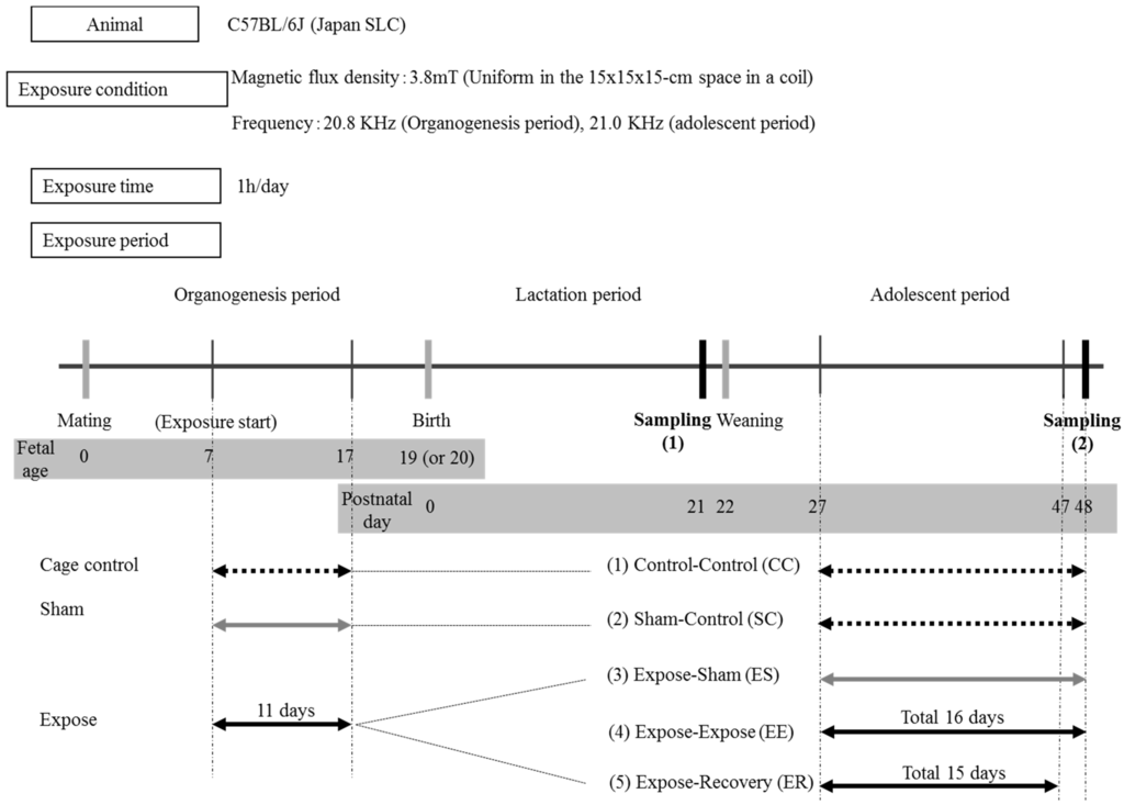 Ijerph 12 04406 g001 1024