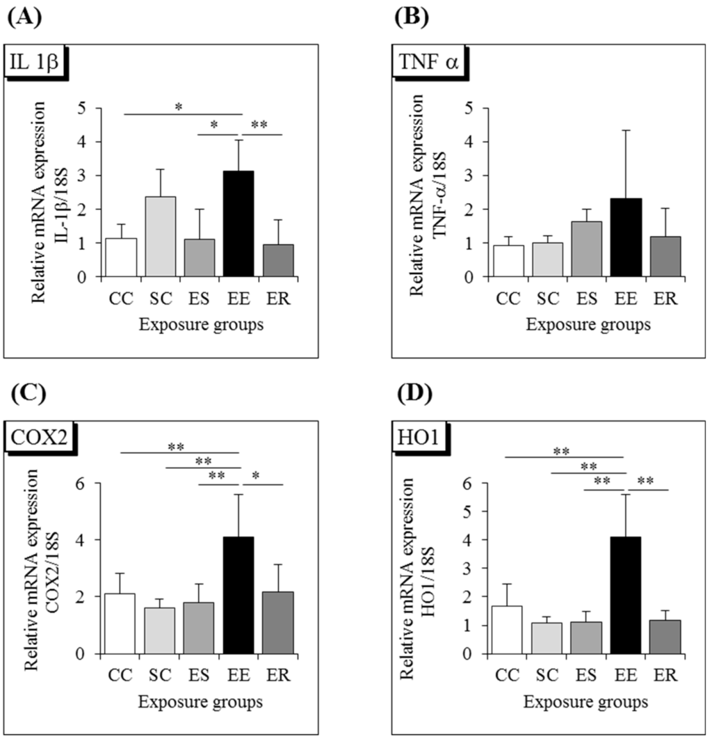 Ijerph 12 04406 g003 1024