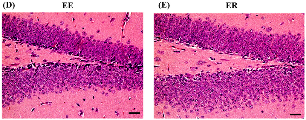 Ijerph 12 04406 g004b 1024