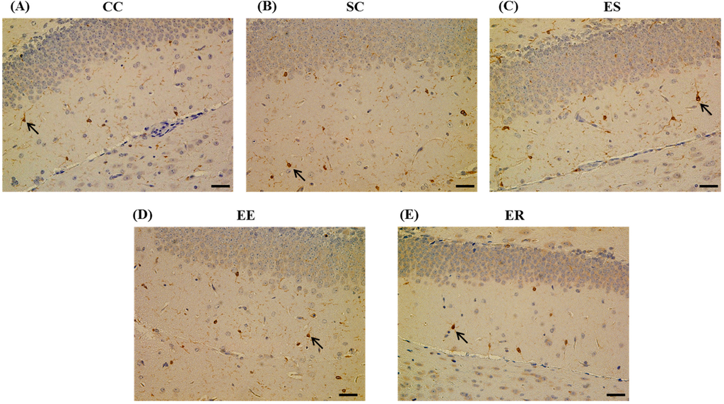 Ijerph 12 04406 g005 1024