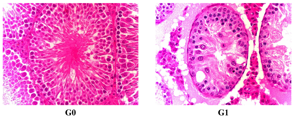 Ijerph 12 04942 g002a 1024