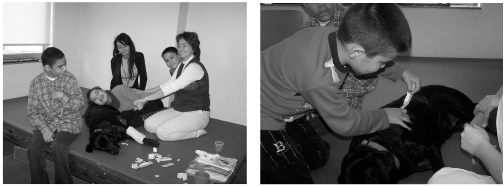 Ijerph 12 05046 g002 1024