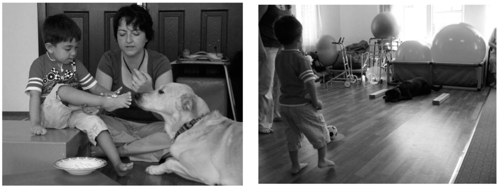 Ijerph 12 05046 g003 1024