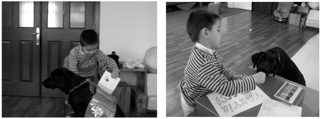 Ijerph 12 05046 g004 1024