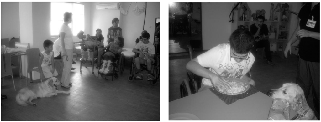 Ijerph 12 05046 g005 1024