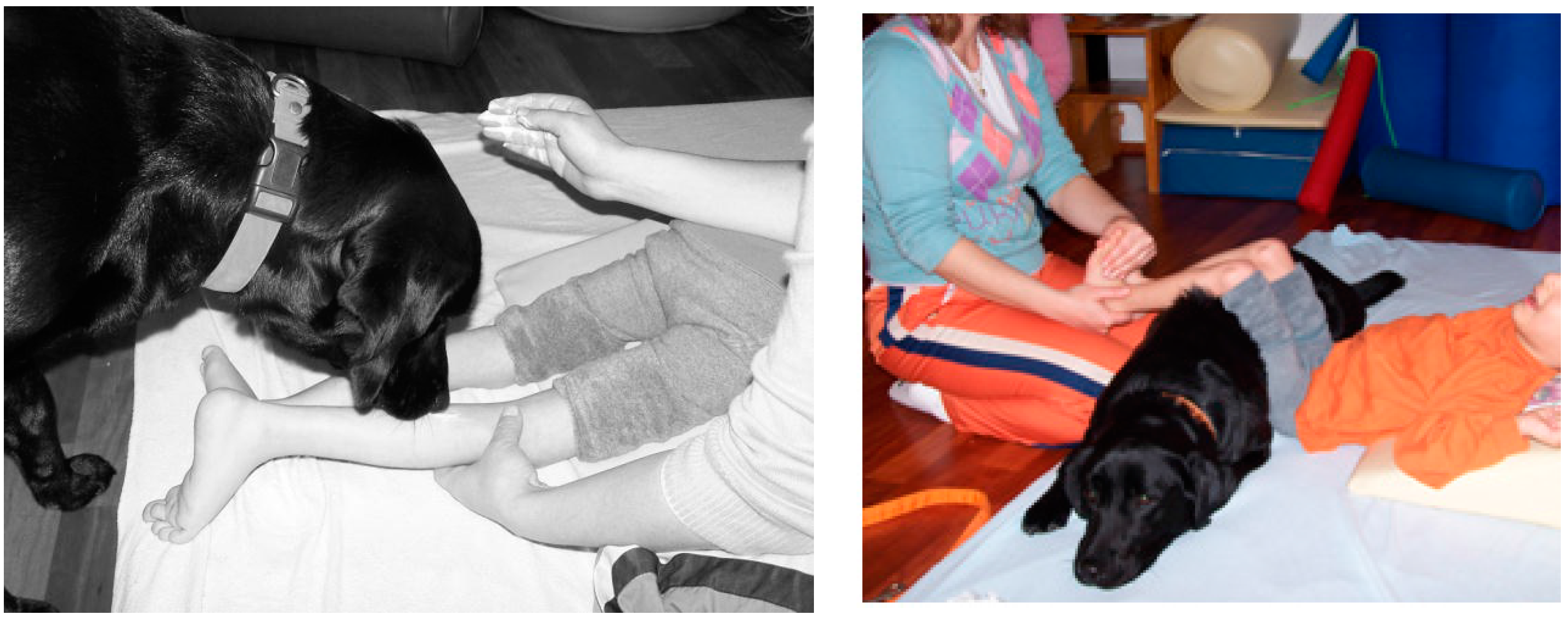 Ijerph 12 05046 g006