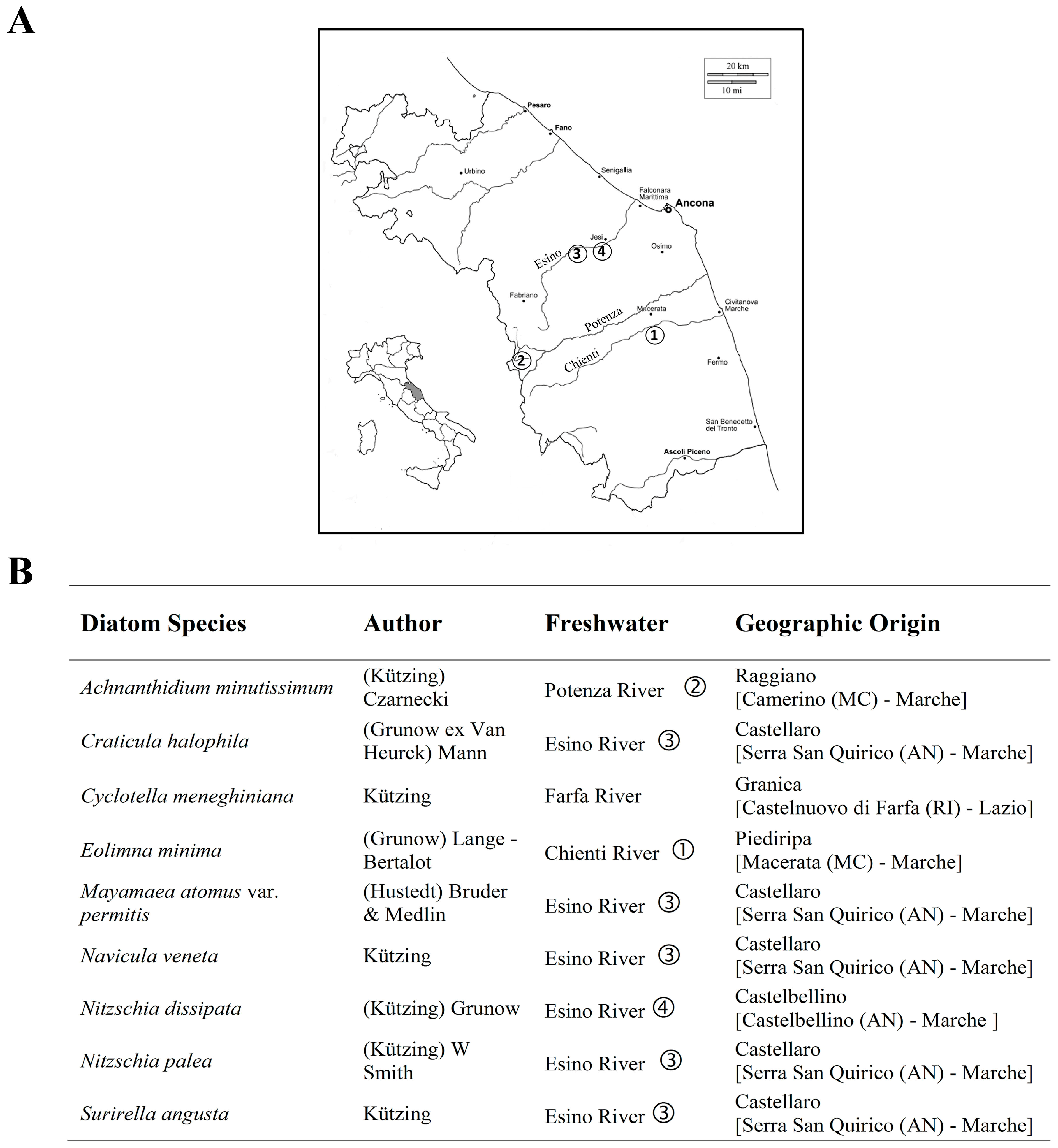 Ijerph 12 05485 g001