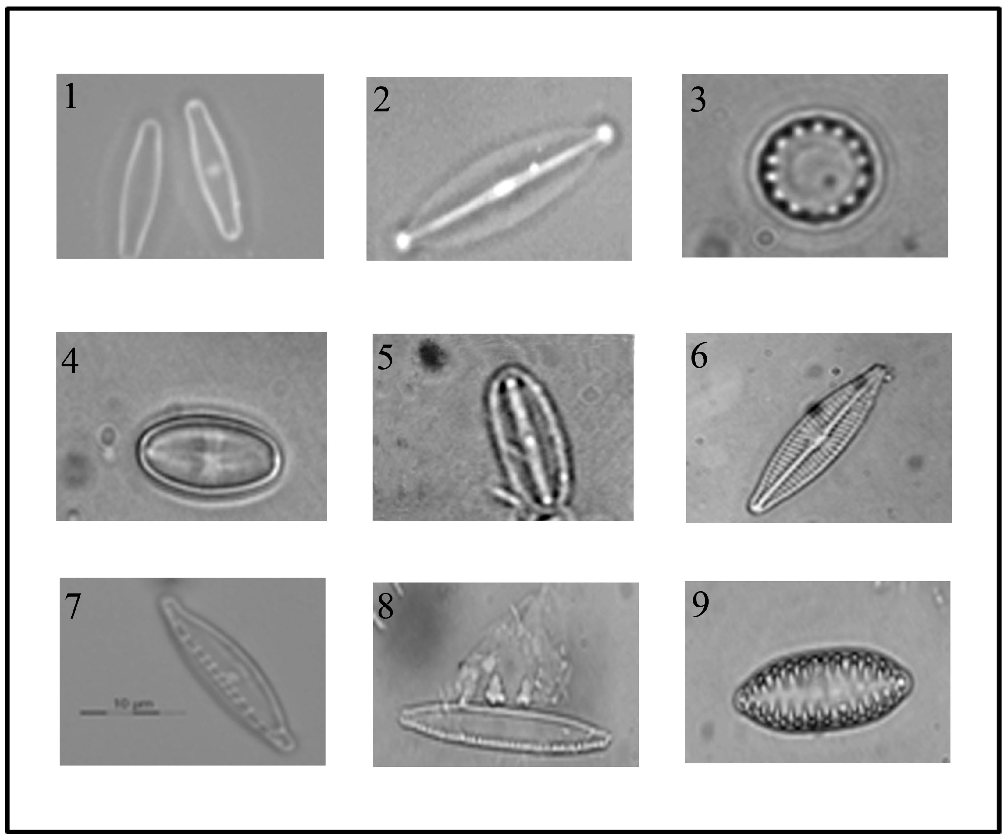 Ijerph 12 05485 g002