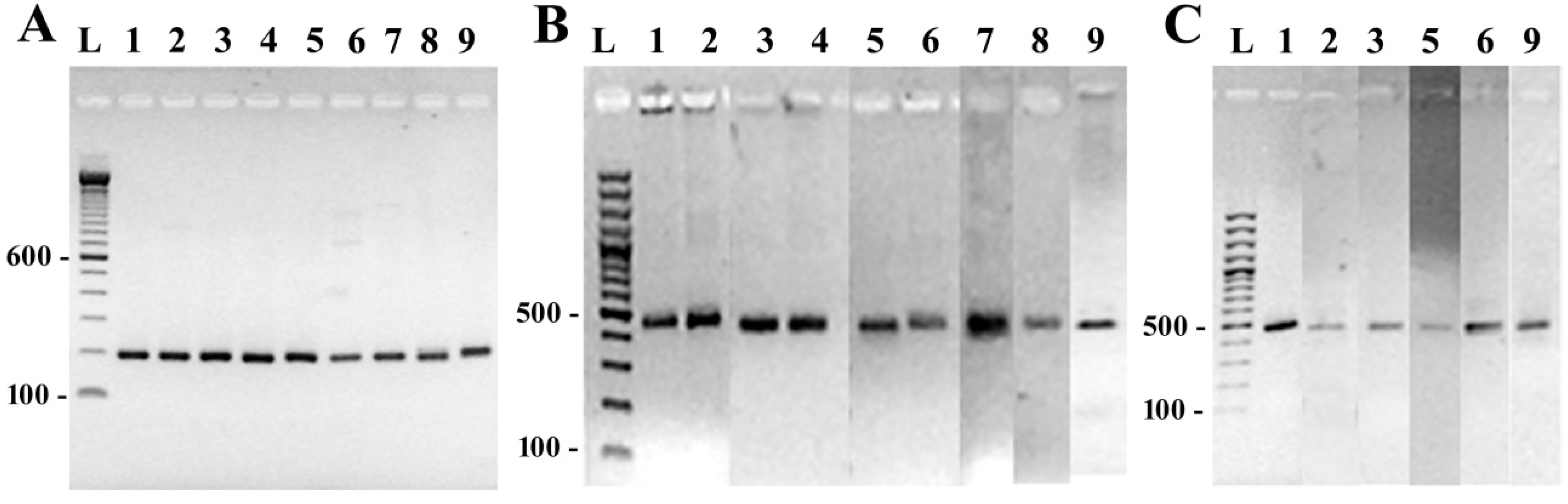 Ijerph 12 05485 g003