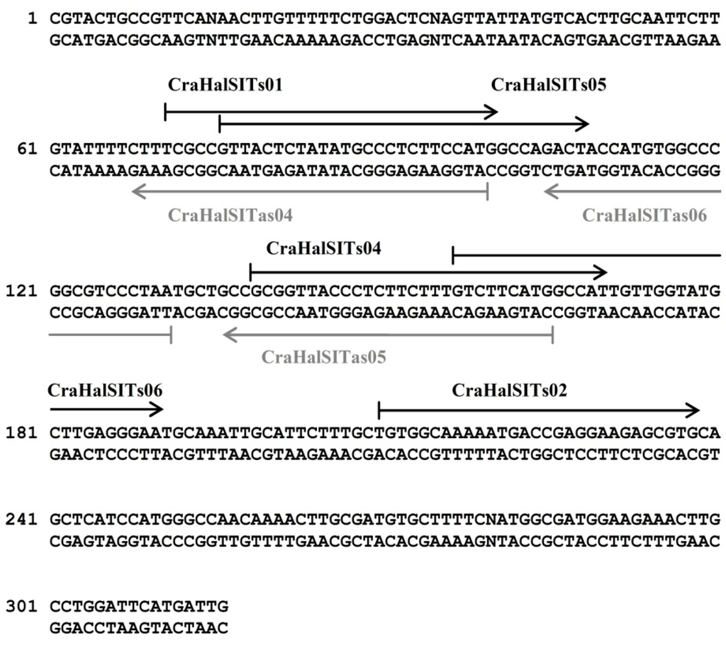 Ijerph 12 05485 g004 1024