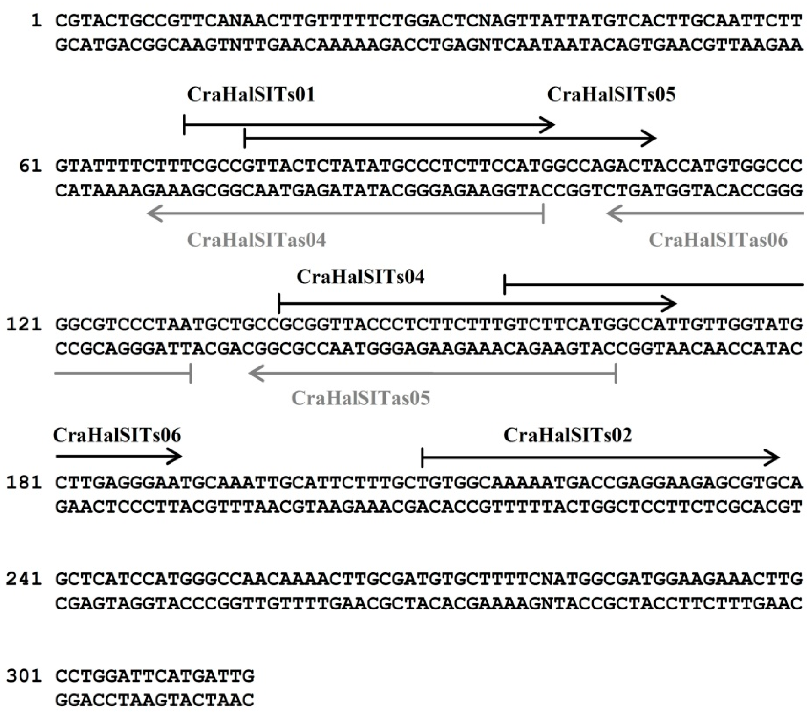 Ijerph 12 05485 g004