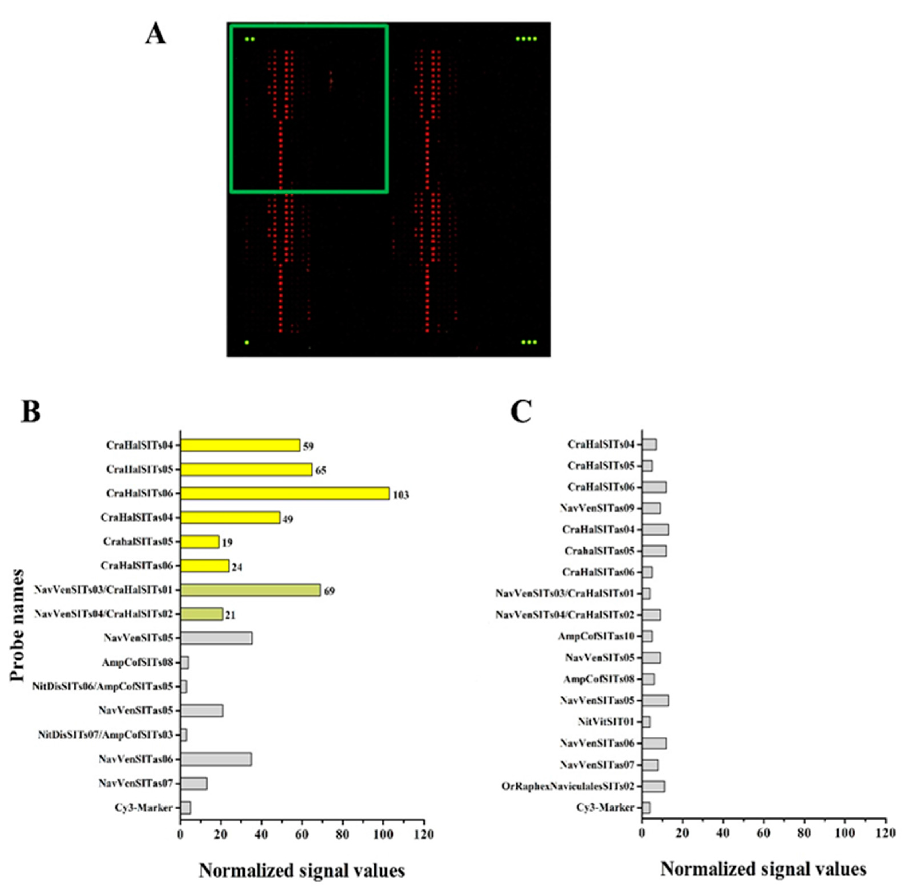 Ijerph 12 05485 g005