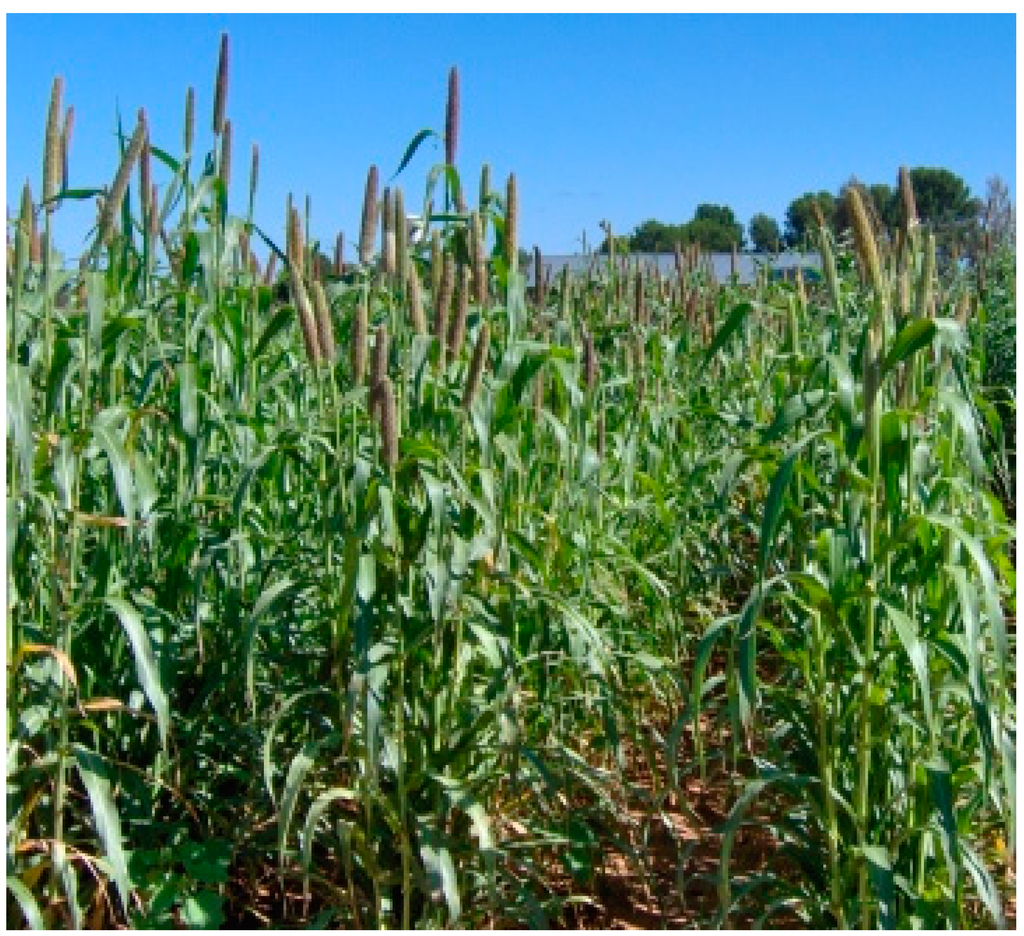 Ijerph 12 05685 g002 1024