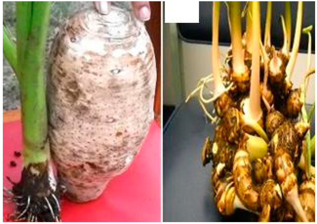 Ijerph 12 05685 g004 1024