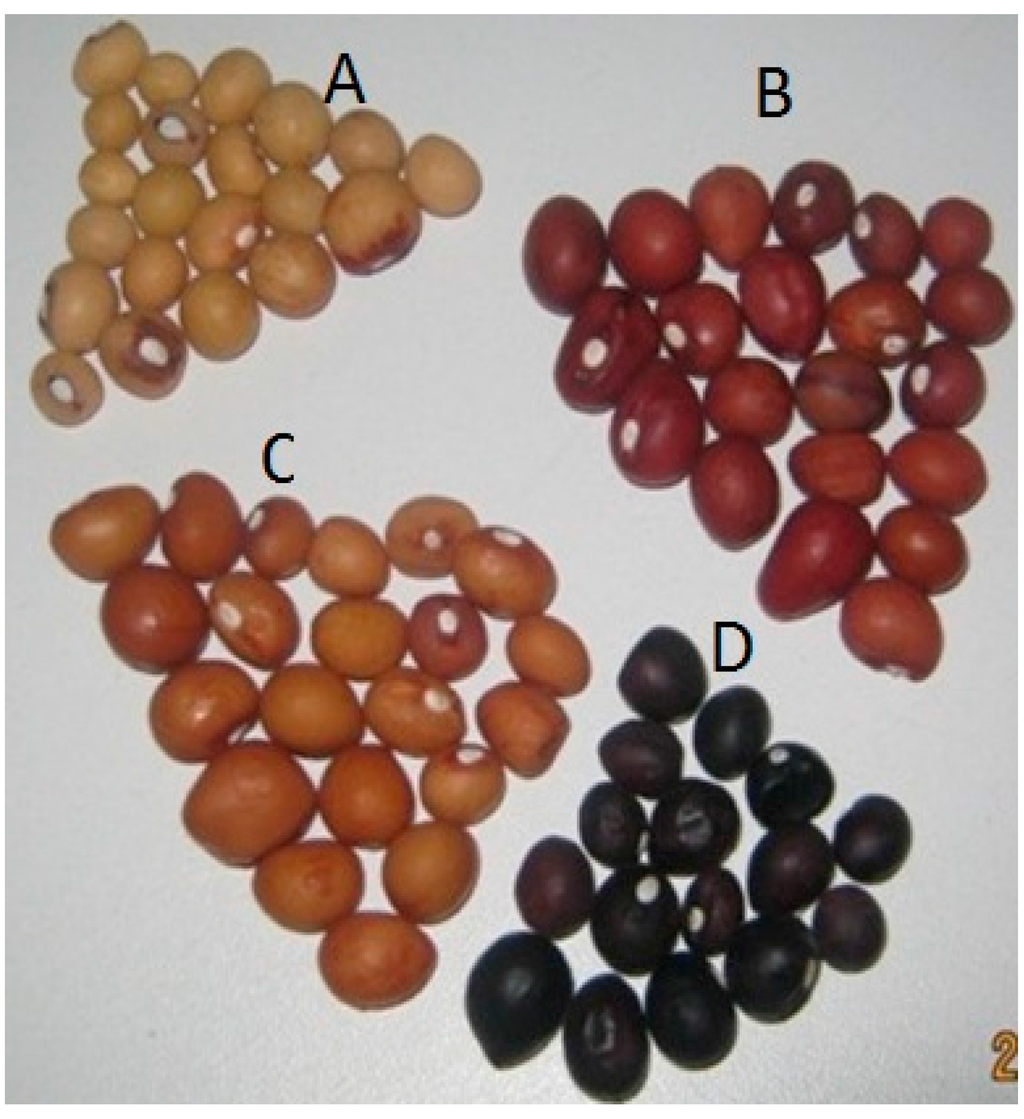 Ijerph 12 05685 g005 1024