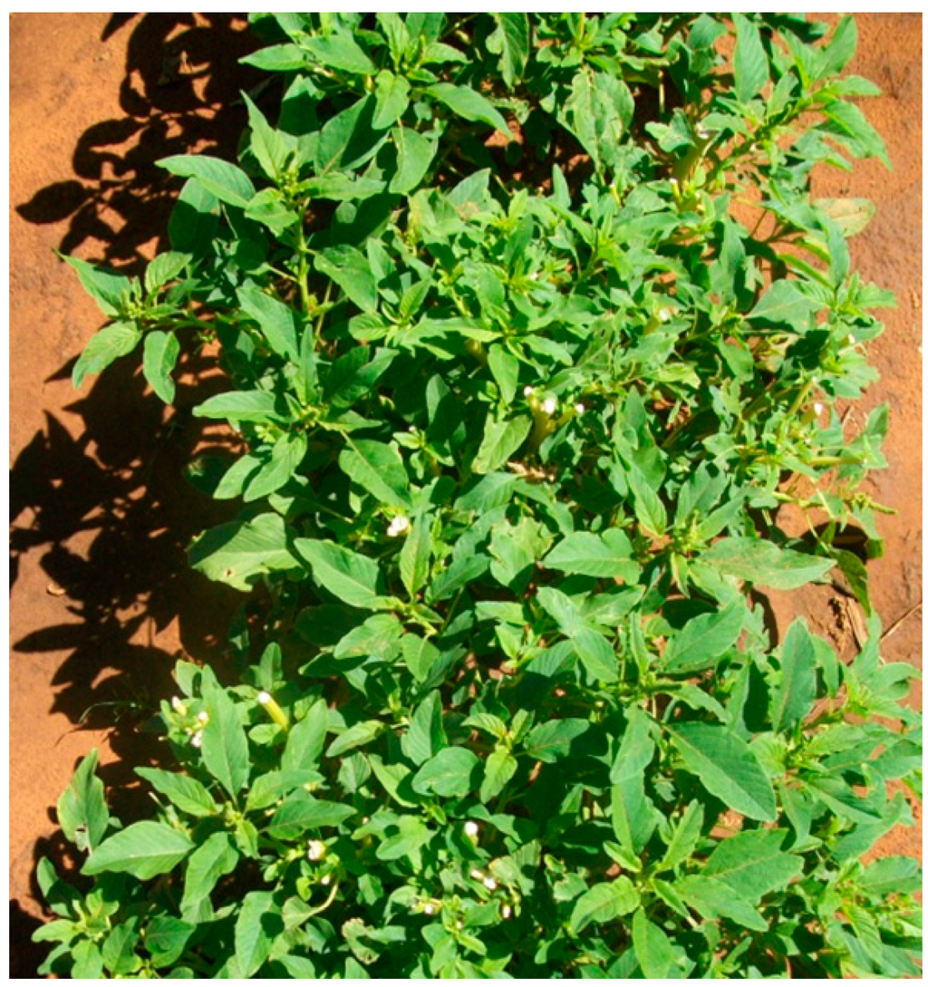 Ijerph 12 05685 g007 1024