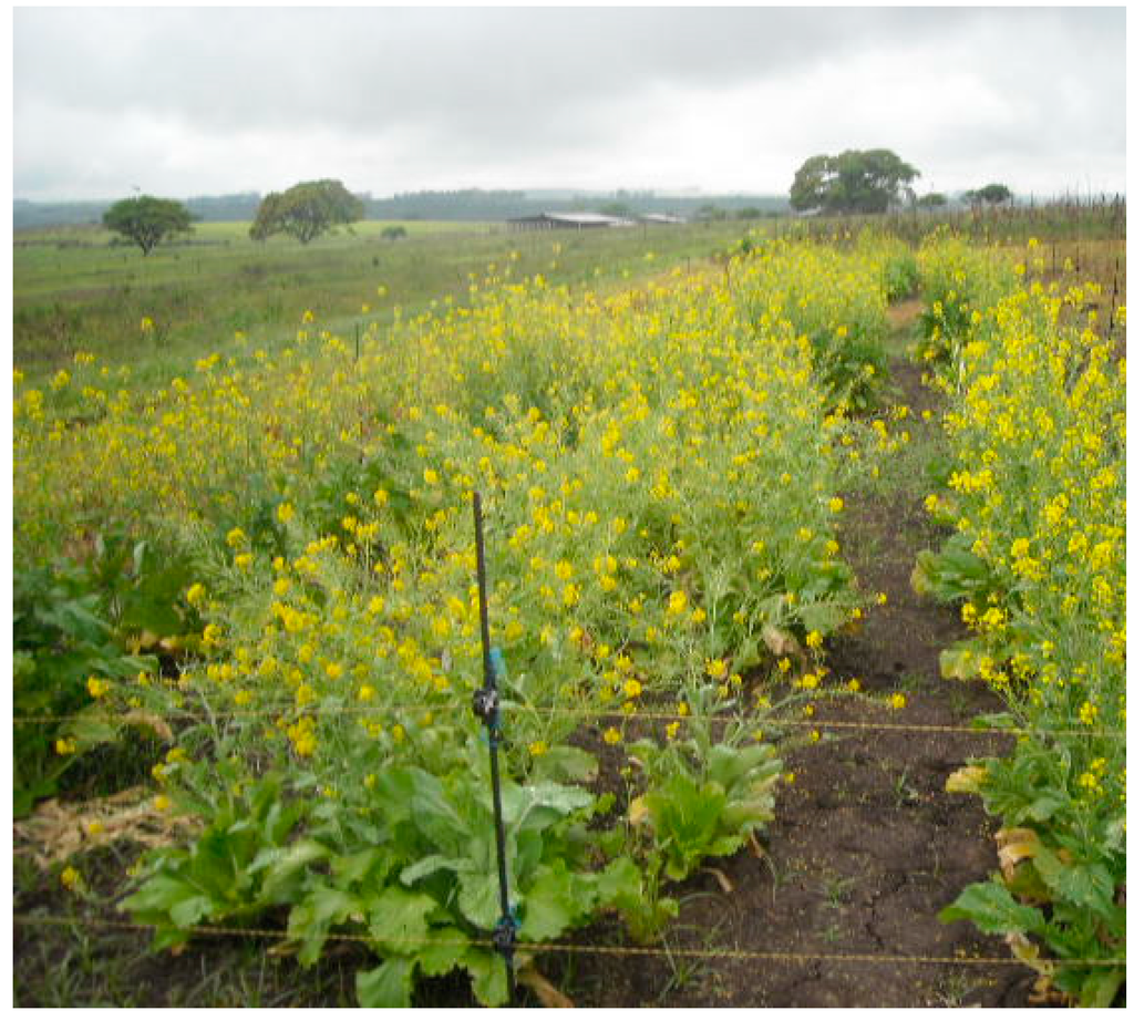 Ijerph 12 05685 g008 1024