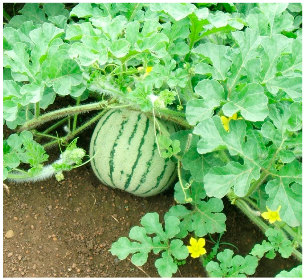 Ijerph 12 05685 g009 1024