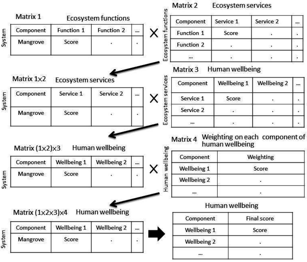 Ijerph 12 06542 g002 1024