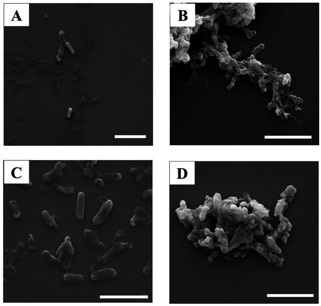 Ijerph 12 08172 g004 1024