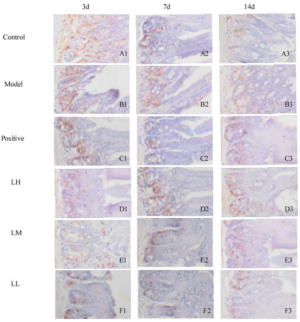 Ijerph 12 08332 g007 1024