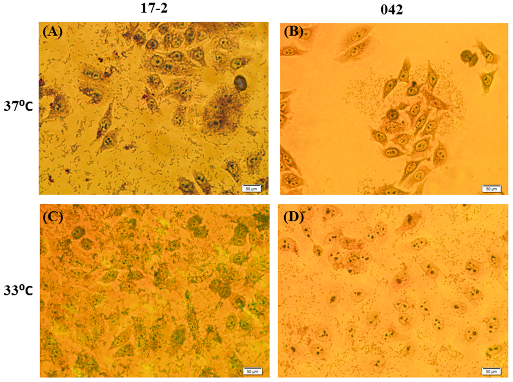 Ijerph 12 08631 g003 1024