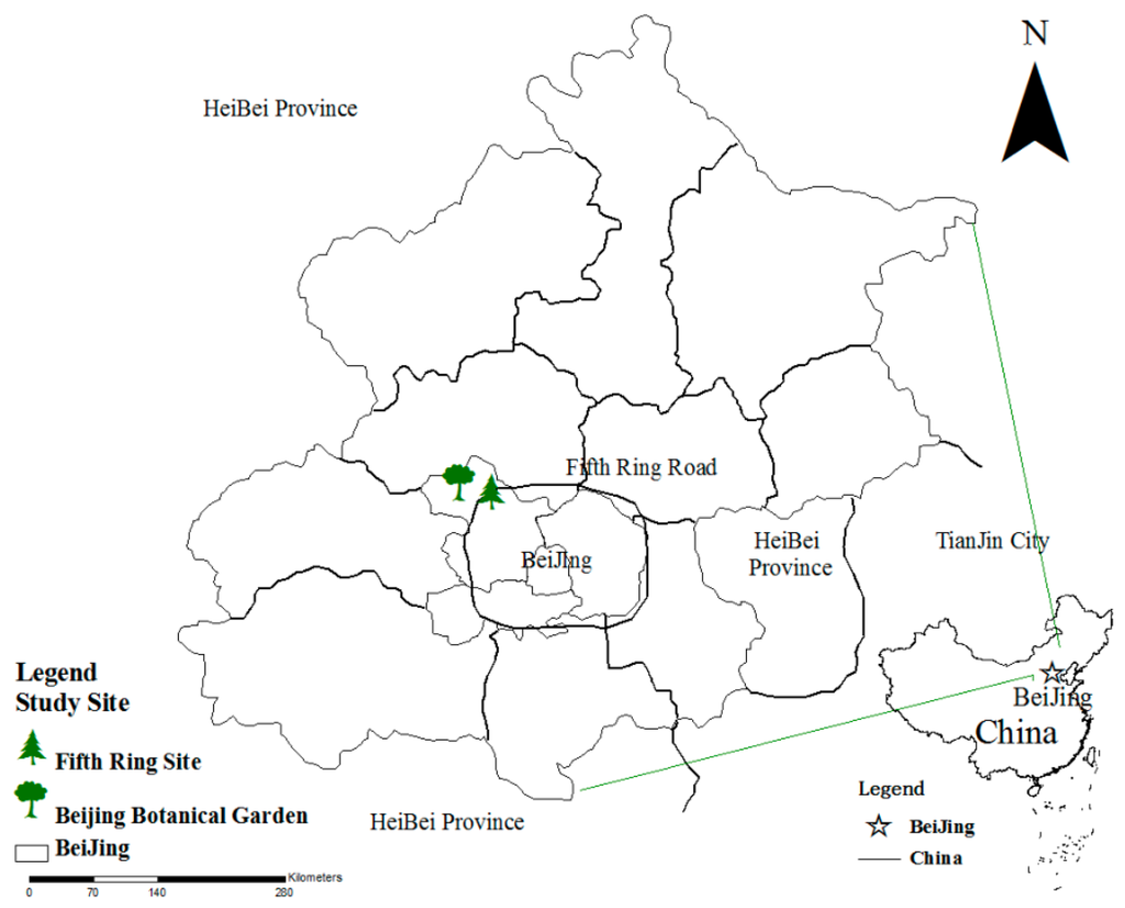 Ijerph 12 09623 g001 1024