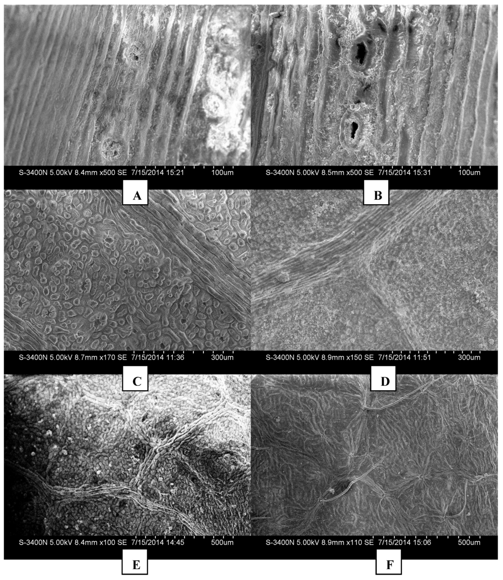 Ijerph 12 09623 g005 1024