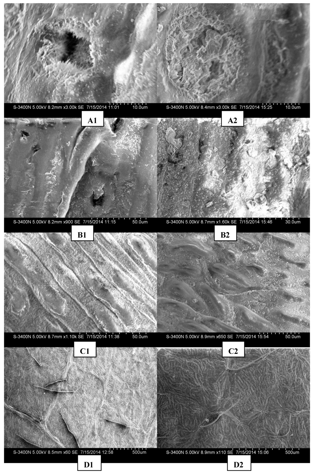 Ijerph 12 09623 g006 1024