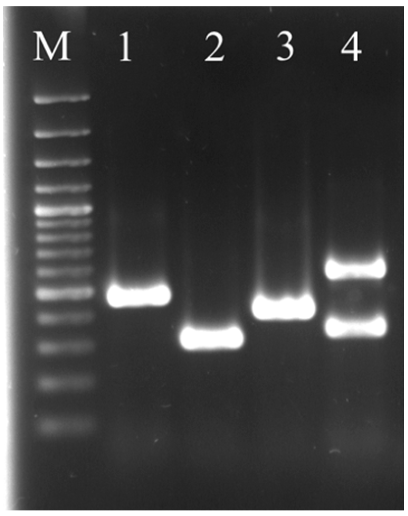 Ijerph 12 09692 g002 1024