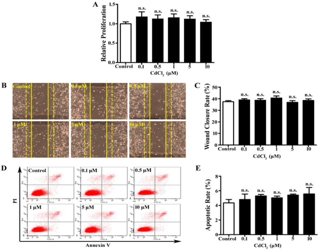 Ijerph 12 10508 g001 1024