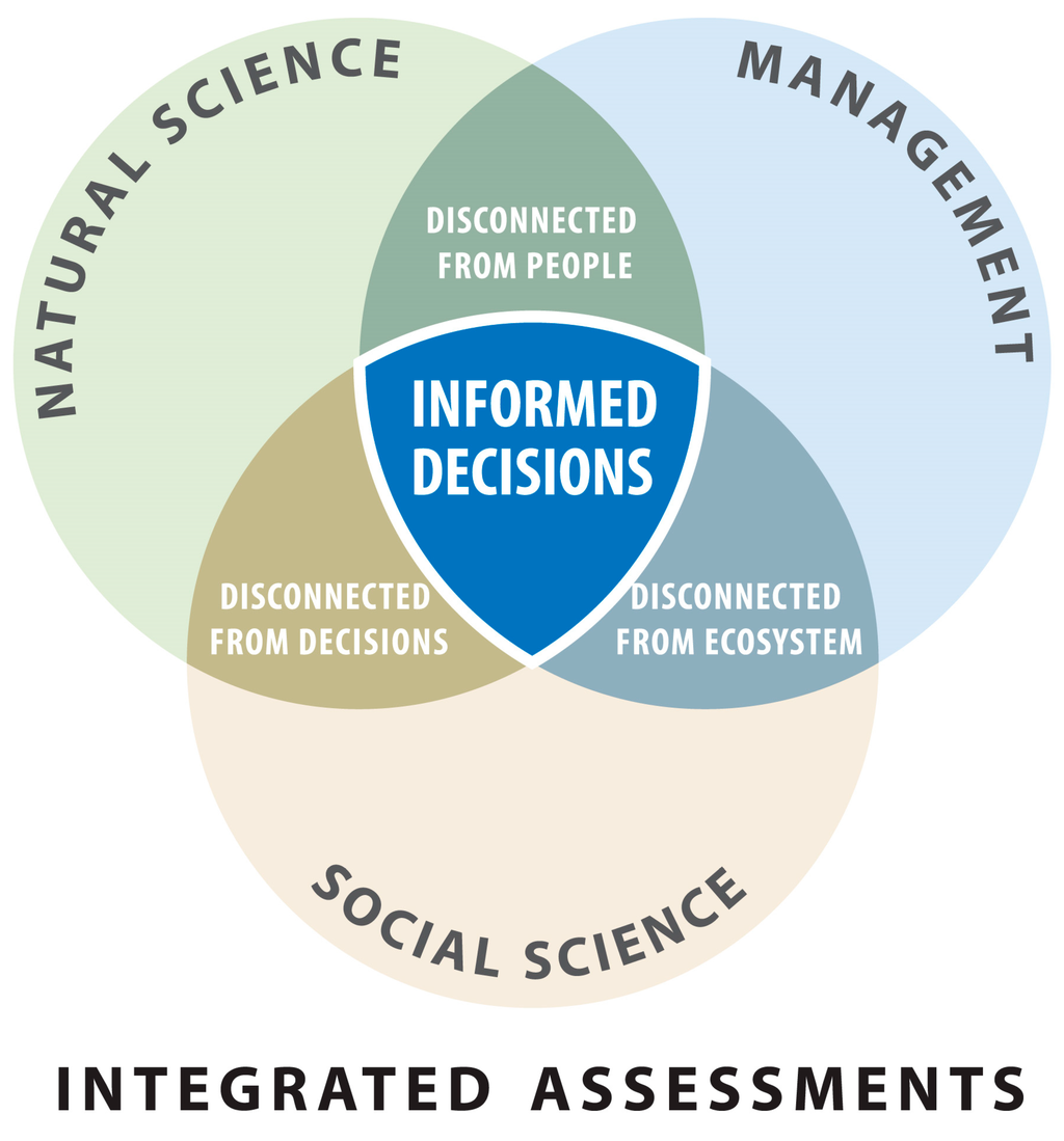 Ijerph 12 11683 g001 1024