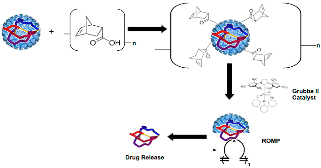 Ijerph 12 12543 g001 1024