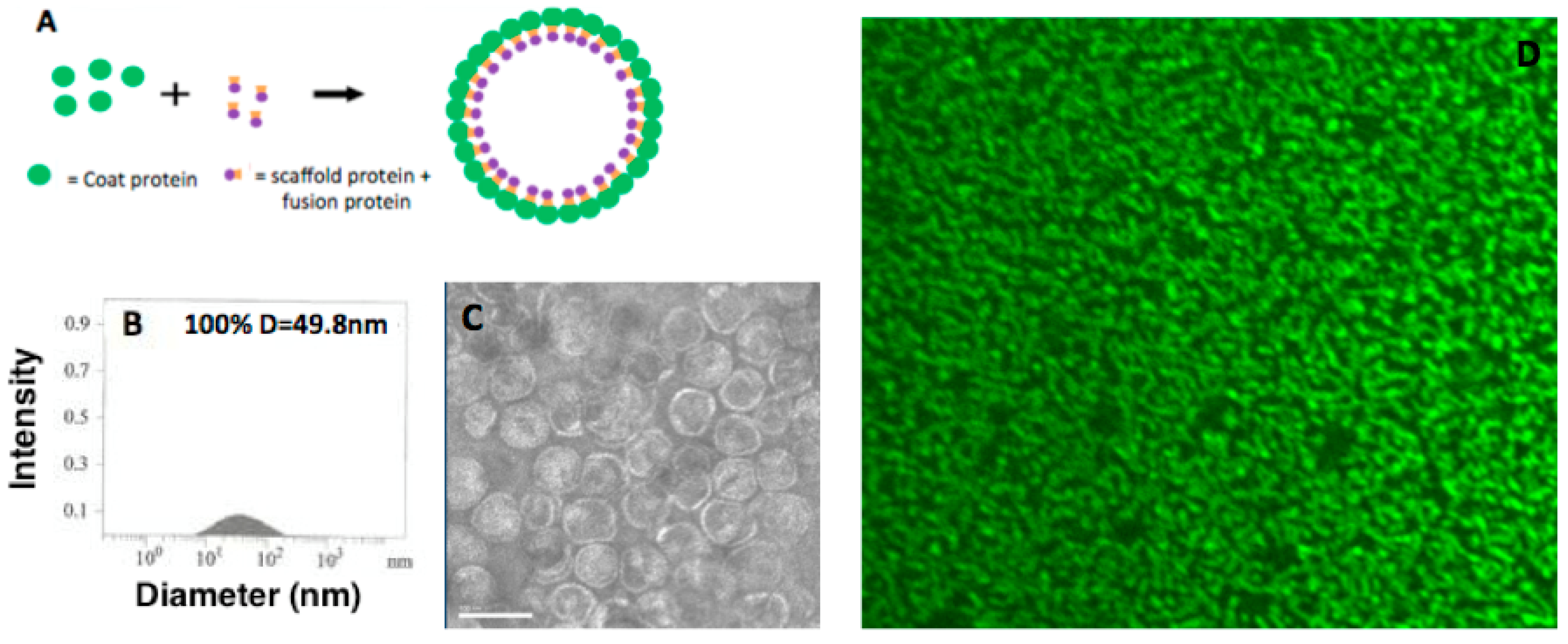 Ijerph 12 12543 g002