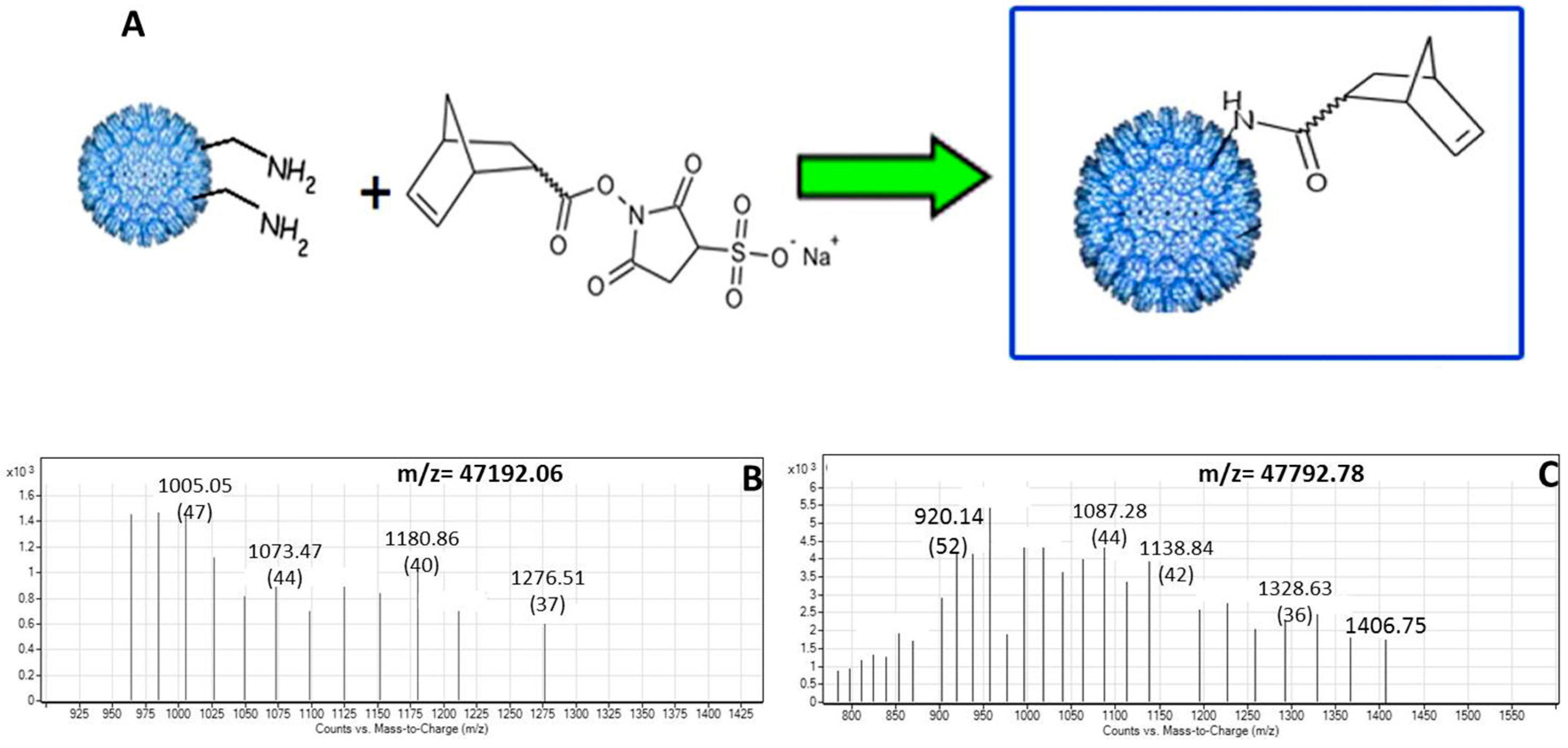 Ijerph 12 12543 g003