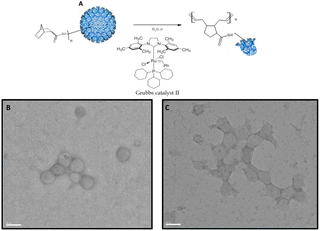 Ijerph 12 12543 g004 1024