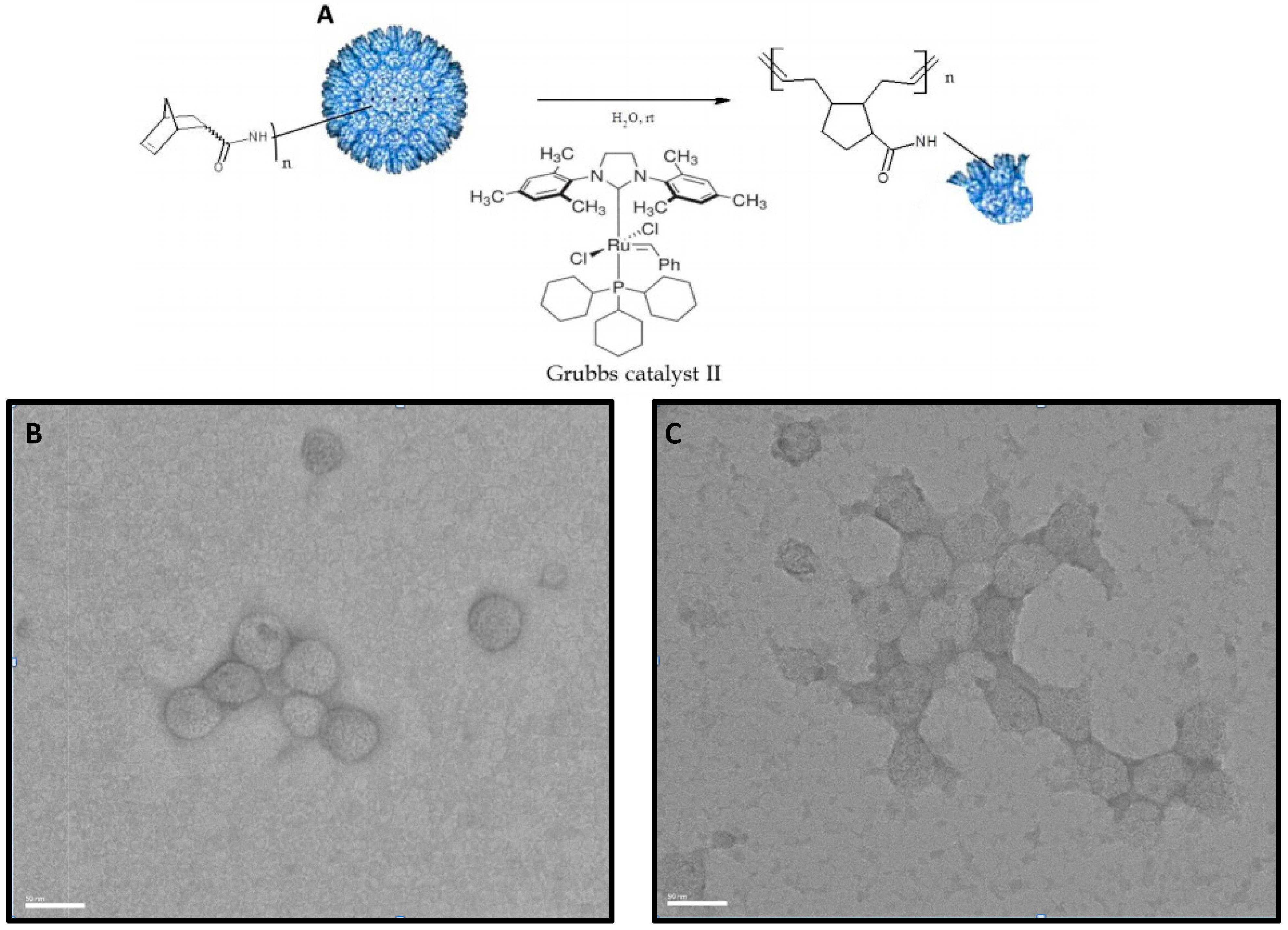 Ijerph 12 12543 g004