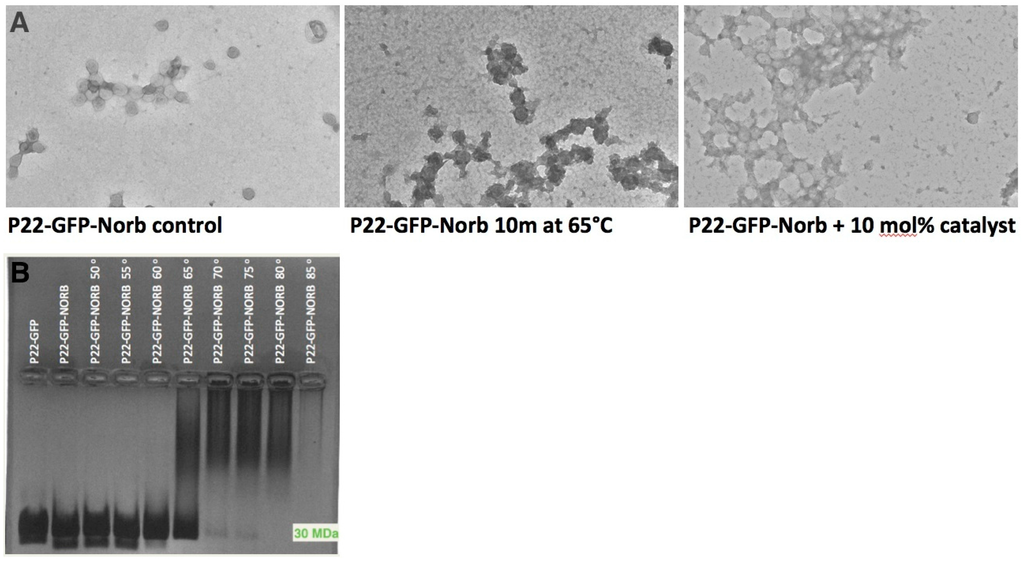 Ijerph 12 12543 g005 1024