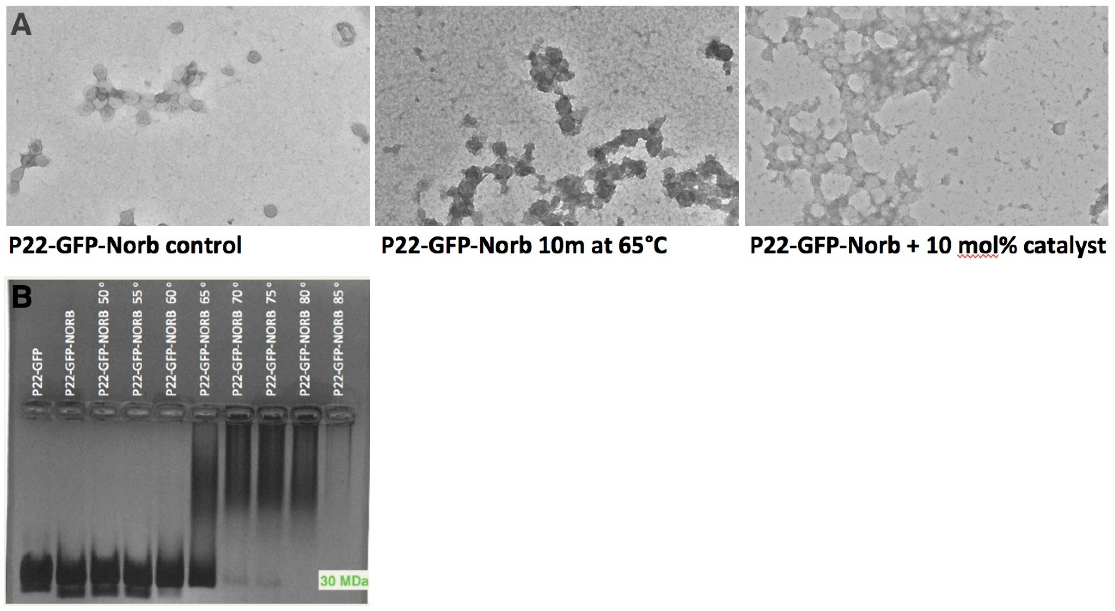 Ijerph 12 12543 g005