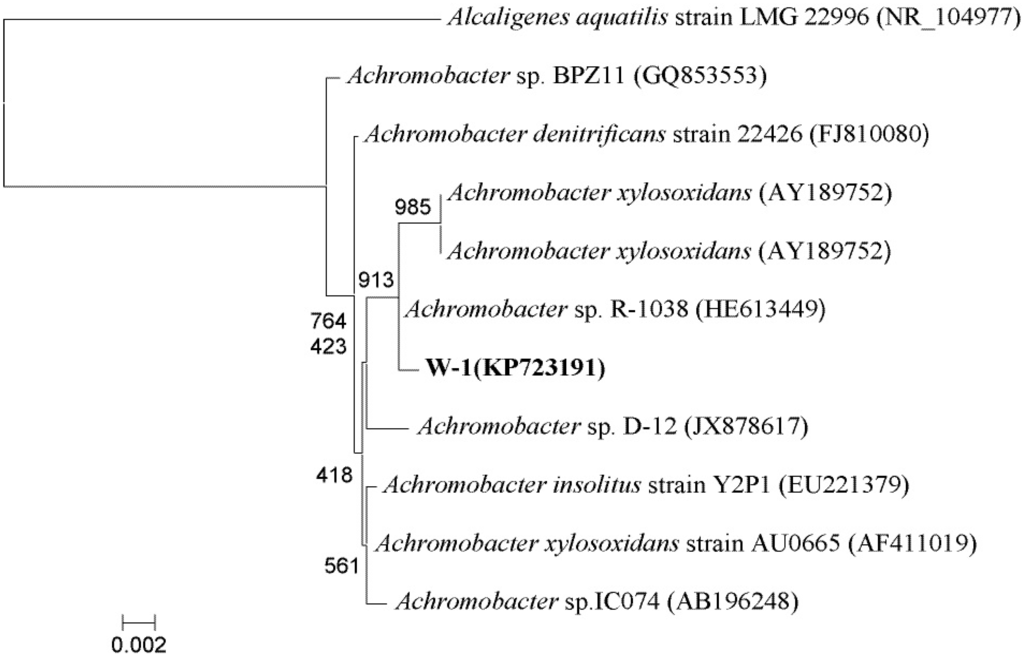 Ijerph 12 13510 g002 1024