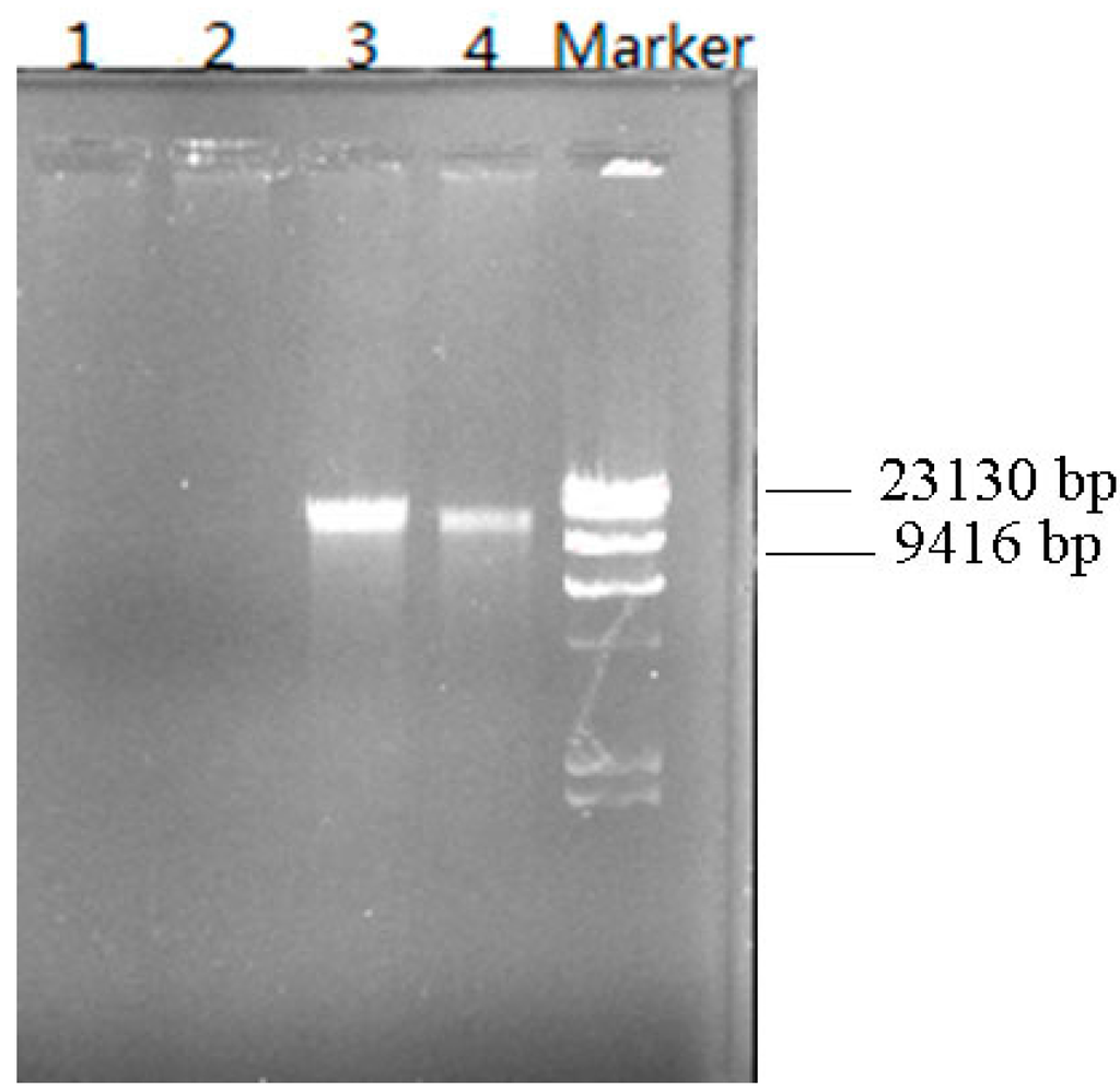 Ijerph 12 13510 g006 1024